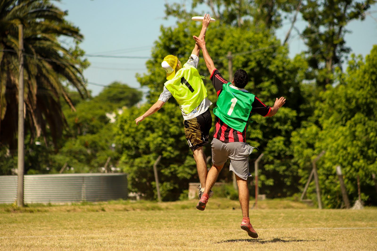 Dos jugadores saltando al mismo tiempo para alcanzar un disco